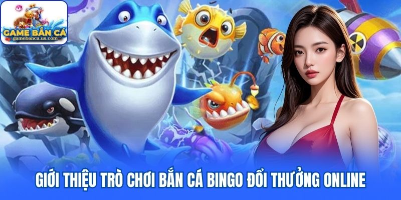 Giới thiệu trò chơi bắn cá Bingo đổi thưởng online