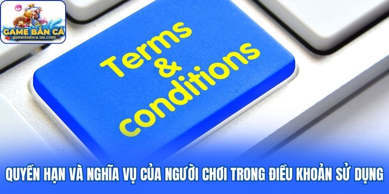 Quyền hạn và nghĩa vụ của người chơi trong điều khoản sử dụng là gì?