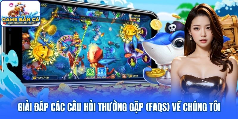 Giải đáp các câu hỏi thường gặp (FAQs) về chúng tôi