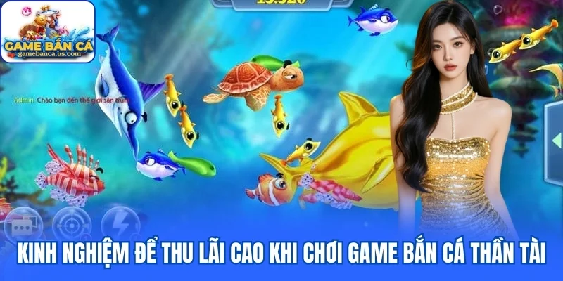 Kinh nghiệm để thu lãi cao khi chơi game Bắn Cá Thần Tài