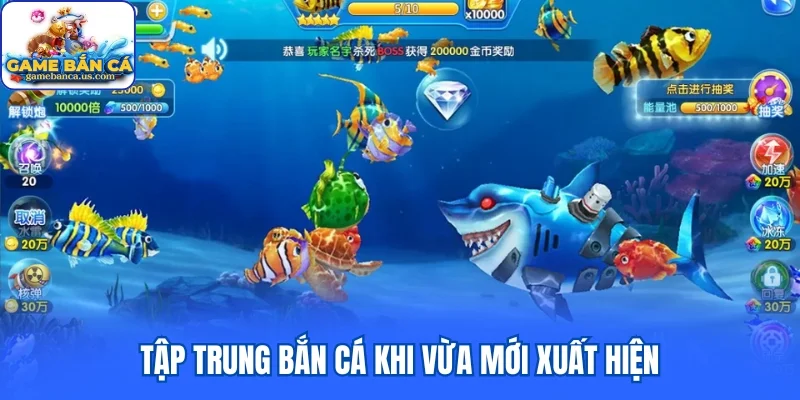 Tập trung bắn cá khi vừa mới xuất hiện sẽ giúp tiêu diệt thành công