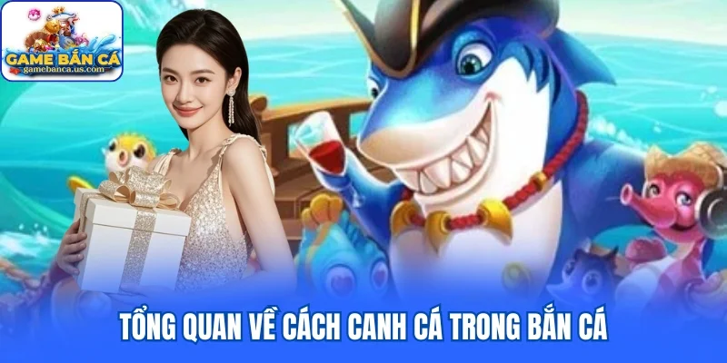 Tổng quan về cách canh cá trong bắn cá